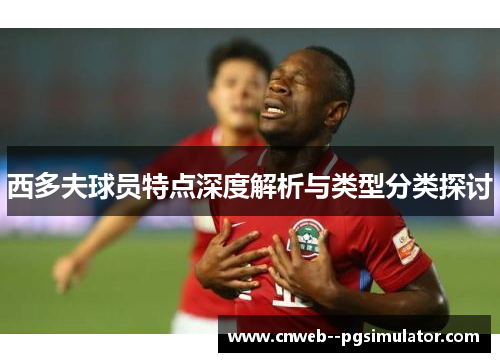 西多夫球员特点深度解析与类型分类探讨