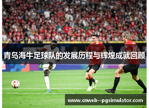 青岛海牛足球队的发展历程与辉煌成就回顾